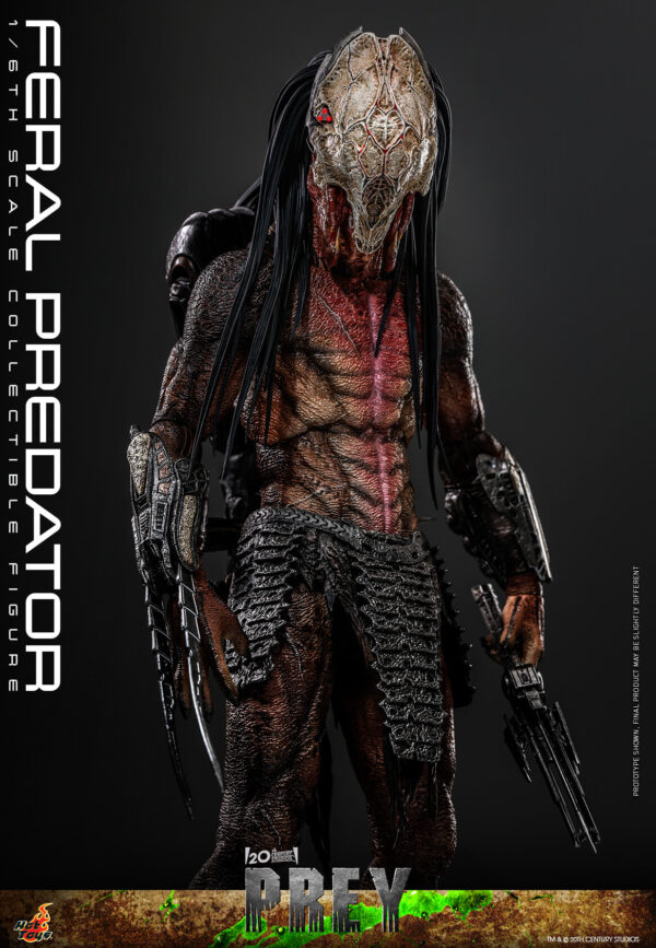 723381783159170 Hot Toys Prey - Feral Predator - Imagen 13