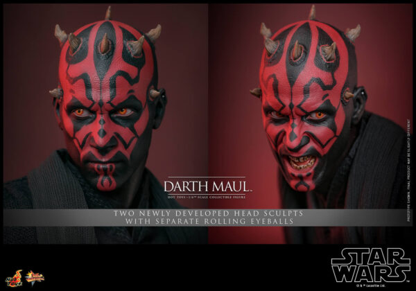 838339638330050 Hot Toys Star Wars Episode I - Darth Maul (2.0) - Imagen 13