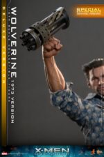 Hot Toys X-Men Days of Future Past - Wolverine Deluxe Edition (Special Edition) - Imagen 5