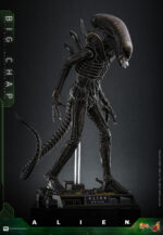 Hot Toys Alien - Big Chap - Imagen 12