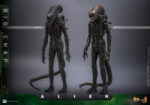 Hot Toys Alien - Big Chap - Imagen 3