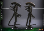 Hot Toys Alien - Big Chap - Imagen 4