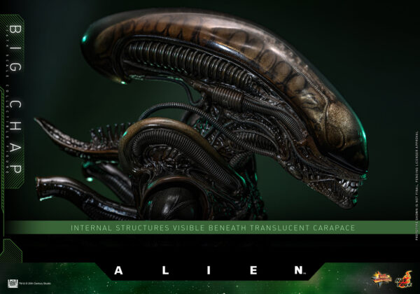 BigChap (4) Hot Toys Alien - Big Chap - Imagen 5