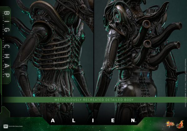 BigChap (5) Hot Toys Alien - Big Chap - Imagen 6