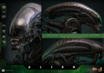 Hot Toys Alien - Big Chap - Imagen 8