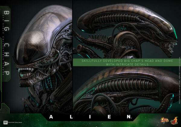 BigChap (7) Hot Toys Alien - Big Chap - Imagen 8