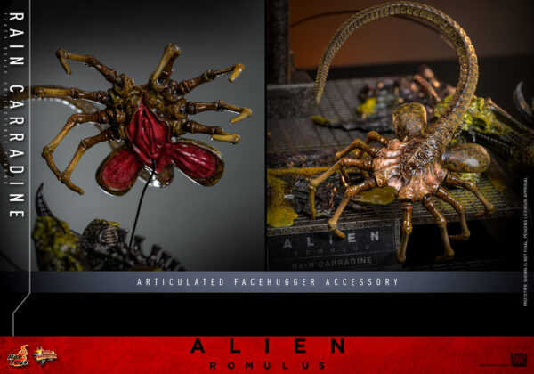 Carradine (20) Hot Toys Alien Romulus - Rain Carradine - Imagen 21