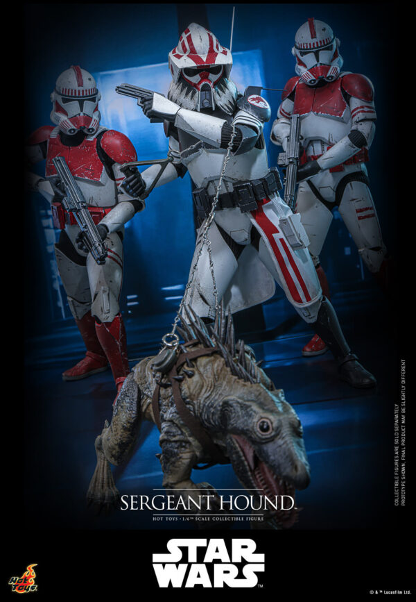 Hound (11) Hot Toys Star Wars The Clone Wars - Sergeant Hound - Imagen 12