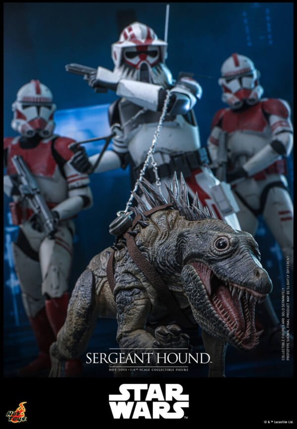Hound (12) Hot Toys Star Wars The Clone Wars - Sergeant Hound - Imagen 13