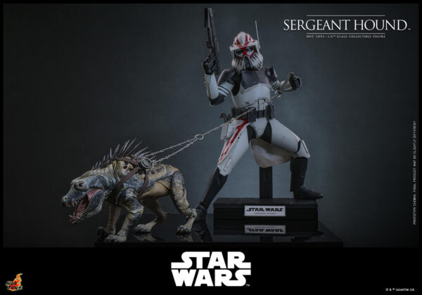 Hound (17) Hot Toys Star Wars The Clone Wars - Sergeant Hound - Imagen 18