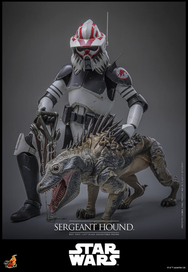Hound (18) Hot Toys Star Wars The Clone Wars - Sergeant Hound - Imagen 19