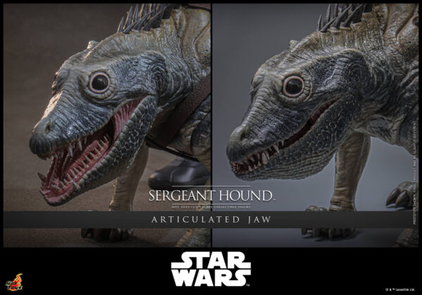 Hound (20) Hot Toys Star Wars The Clone Wars - Sergeant Hound - Imagen 21