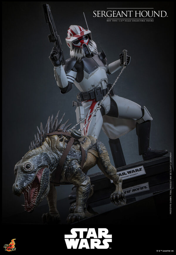 Hound (8) Hot Toys Star Wars The Clone Wars - Sergeant Hound - Imagen 9
