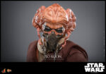 Hot Toys Star Wars Episode III - Plo Koon - Imagen 11