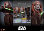 Hot Toys Star Wars Episode III - Saesee Tiin