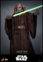 Hot Toys Star Wars Episode III - Saesee Tiin - Imagen 9