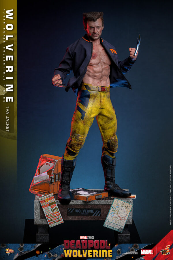 TVA (12) Hot Toys Deadpool and Wolverine - Wolverine TVA Jacket Version - Imagen 13