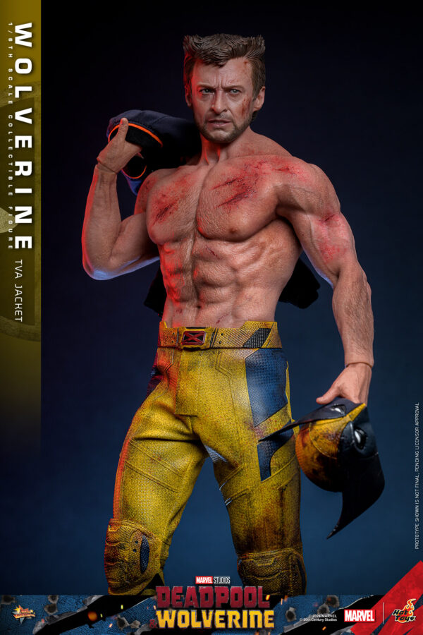 TVA (13) Hot Toys Deadpool and Wolverine - Wolverine TVA Jacket Version - Imagen 14