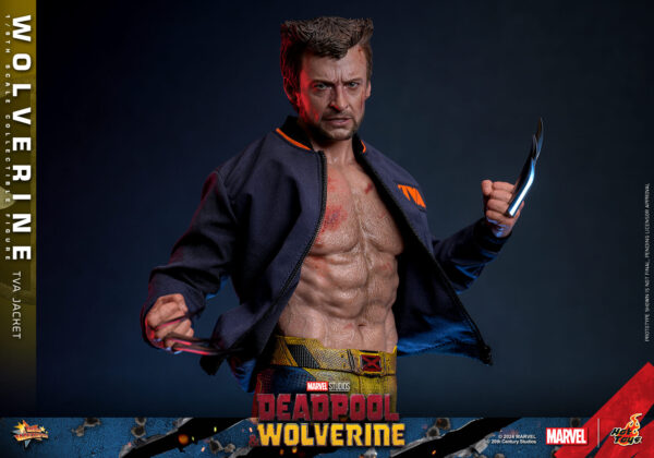 TVA (14) Hot Toys Deadpool and Wolverine - Wolverine TVA Jacket Version - Imagen 15