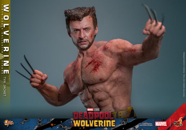 TVA (17) Hot Toys Deadpool and Wolverine - Wolverine TVA Jacket Version - Imagen 18