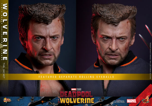TVA (3) Hot Toys Deadpool and Wolverine - Wolverine TVA Jacket Version - Imagen 4