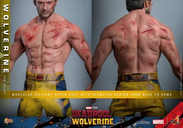 TVA (4) Hot Toys Deadpool and Wolverine - Wolverine TVA Jacket Version - Imagen 5