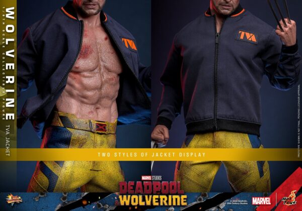 TVA (5) Hot Toys Deadpool and Wolverine - Wolverine TVA Jacket Version - Imagen 6