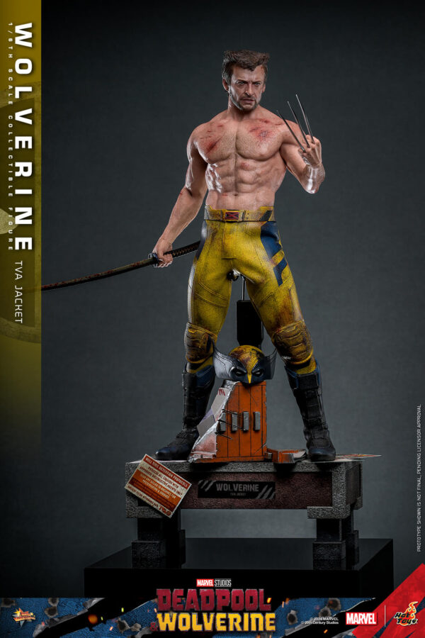 TVA (7) Hot Toys Deadpool and Wolverine - Wolverine TVA Jacket Version - Imagen 8