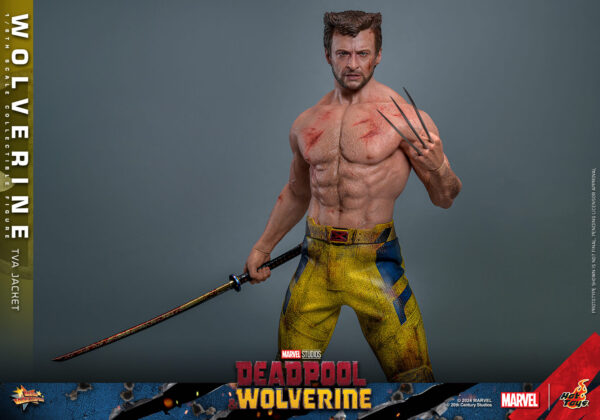 TVA (8) Hot Toys Deadpool and Wolverine - Wolverine TVA Jacket Version - Imagen 9