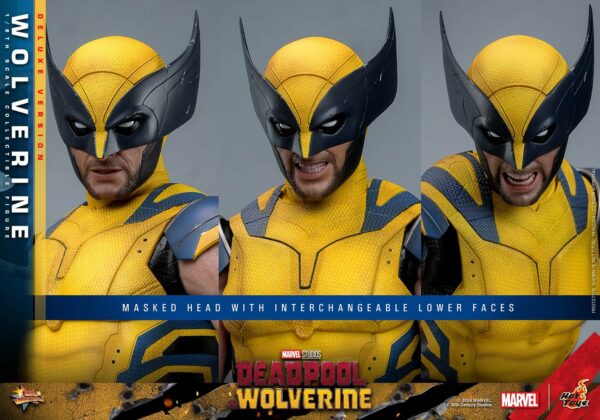 WandDDX (2) Hot Toys Deadpool and Wolverine - Wolverine Deluxe Edition - Imagen 3