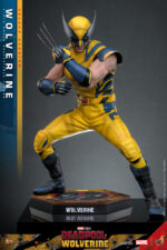 Hot Toys Deadpool and Wolverine - Wolverine Deluxe Edition - Imagen 8