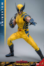 Hot Toys Deadpool and Wolverine - Wolverine Deluxe Edition - Imagen 10