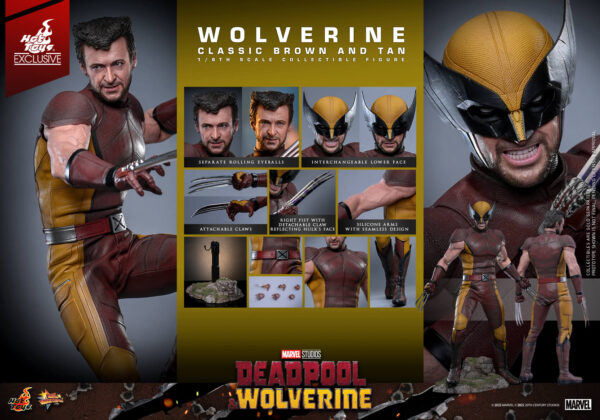 WolvClassic (1) Hot Toys Deadpool and Wolverine - Wolverine (Classic Brown and Tan) - Imagen 1