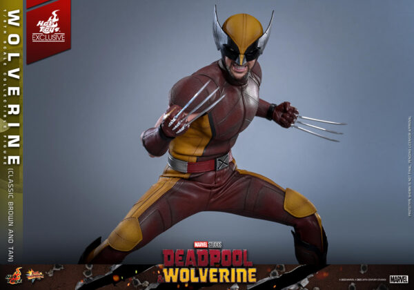 WolvClassic (11) Hot Toys Deadpool and Wolverine - Wolverine (Classic Brown and Tan) - Imagen 12