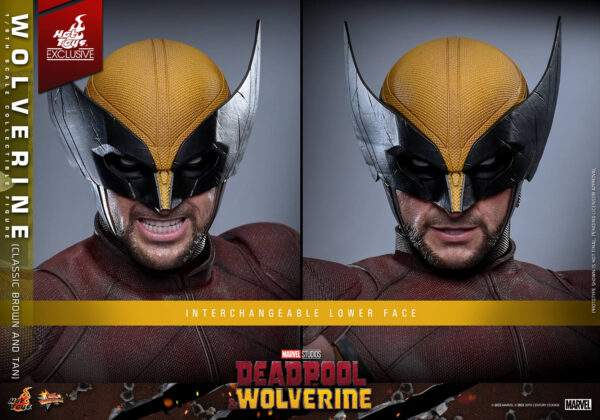 WolvClassic (18) Hot Toys Deadpool and Wolverine - Wolverine (Classic Brown and Tan) - Imagen 19