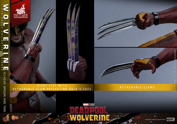 WolvClassic (19) Hot Toys Deadpool and Wolverine - Wolverine (Classic Brown and Tan) - Imagen 20