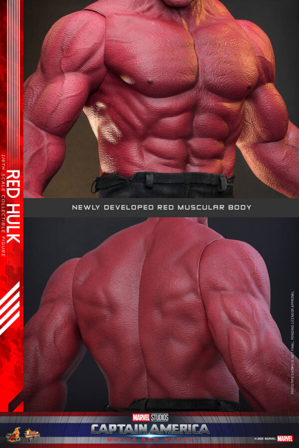 redhulk (10) Hot Toys Captain America Brave New World - Red Hulk - Imagen 11