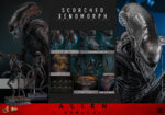 Hot Toys Alien Romulus - Scorched Xenomorph
