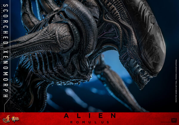scorched (10) Hot Toys Alien Romulus - Scorched Xenomorph - Imagen 3