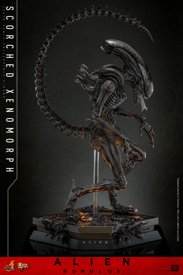 scorched (11) Hot Toys Alien Romulus - Scorched Xenomorph - Imagen 4