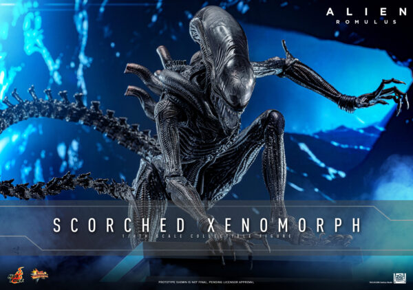 scorched (12) Hot Toys Alien Romulus - Scorched Xenomorph - Imagen 5
