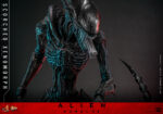 Hot Toys Alien Romulus - Scorched Xenomorph - Imagen 6