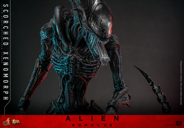 scorched (13) Hot Toys Alien Romulus - Scorched Xenomorph - Imagen 6