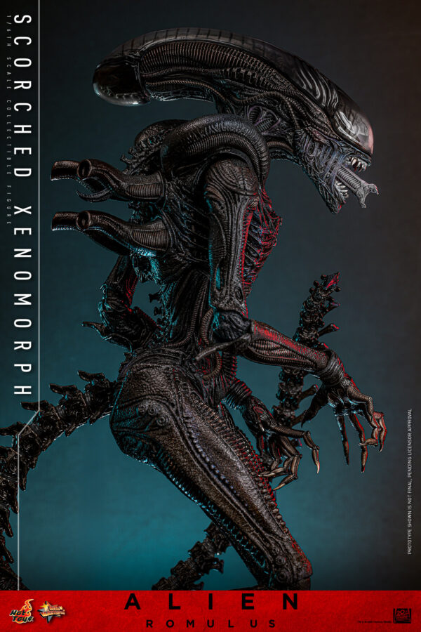 scorched (15) Hot Toys Alien Romulus - Scorched Xenomorph - Imagen 8