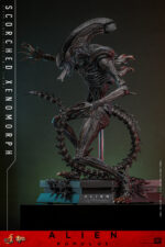 Hot Toys Alien Romulus - Scorched Xenomorph - Imagen 9