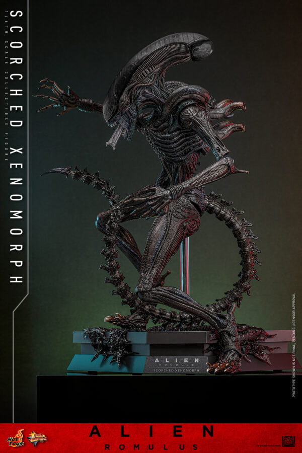 scorched (16) Hot Toys Alien Romulus - Scorched Xenomorph - Imagen 9