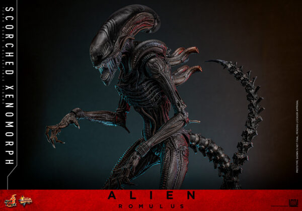 scorched (18) Hot Toys Alien Romulus - Scorched Xenomorph - Imagen 11