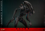 Hot Toys Alien Romulus - Scorched Xenomorph - Imagen 14