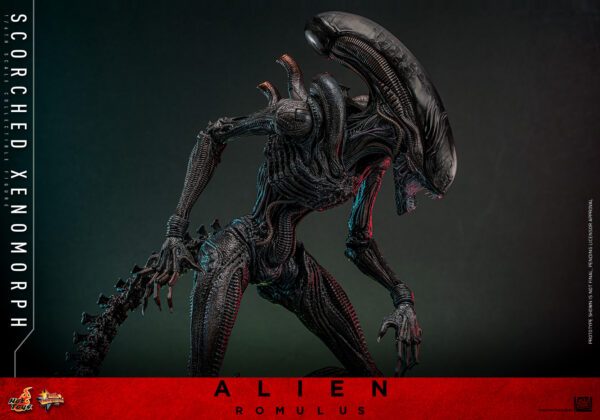 scorched (3) Hot Toys Alien Romulus - Scorched Xenomorph - Imagen 14