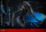 Hot Toys Alien Romulus - Scorched Xenomorph - Imagen 15